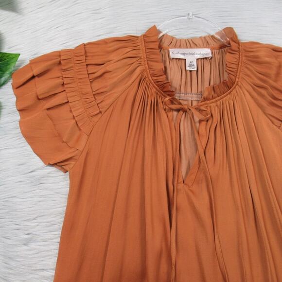 CATHERINE MALANDRINO Pleated Airflow Blouse in Rust Women's Size Small - Picture 4 of 12